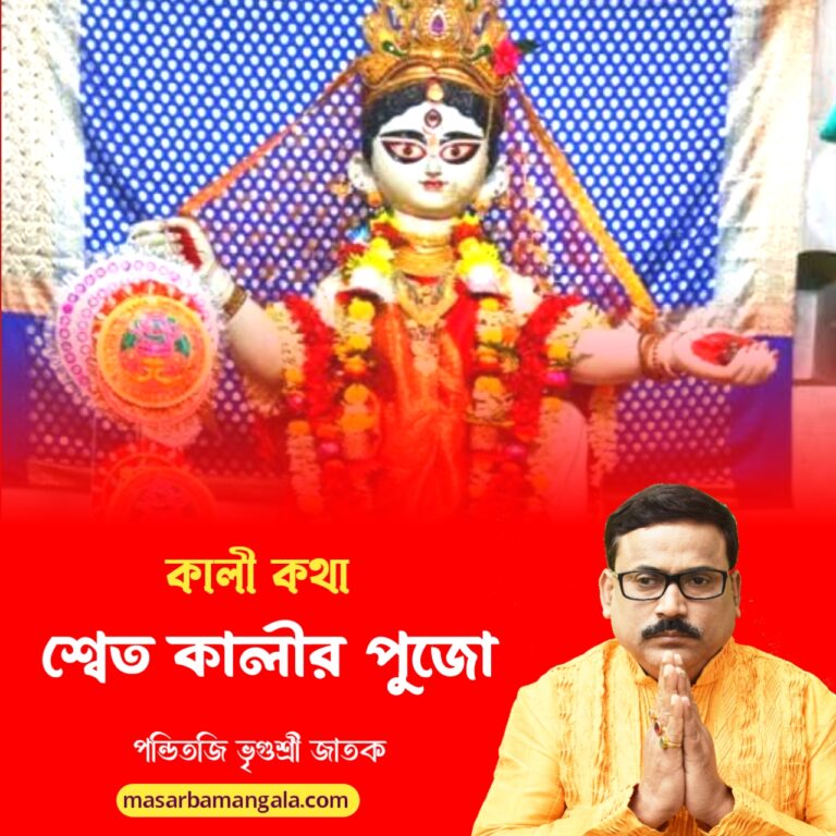 স্বেত কালীর পুজো