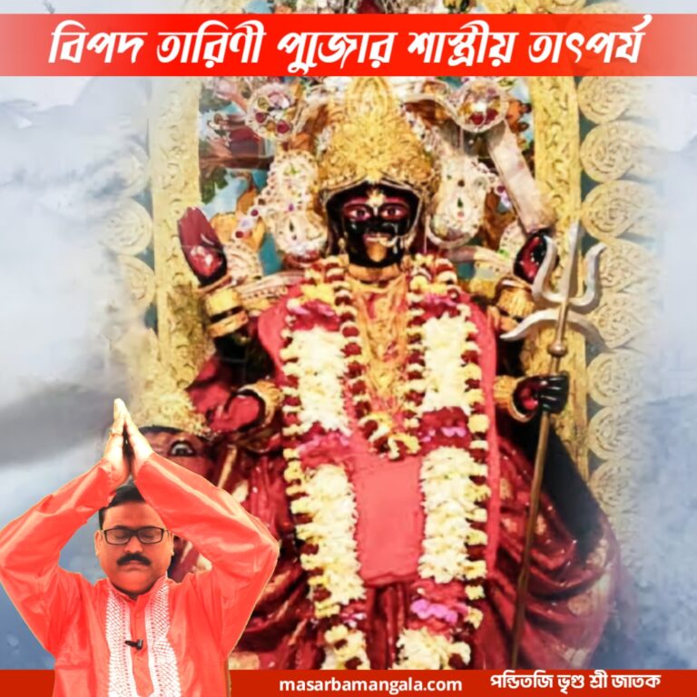 বিপদ তারিণী পুজোর শাস্ত্রীয় তাৎপর্য 